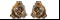 ������ �����[11]
