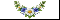 ������ ���� ��������[11]