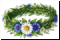 ���� ���� ��������[11]